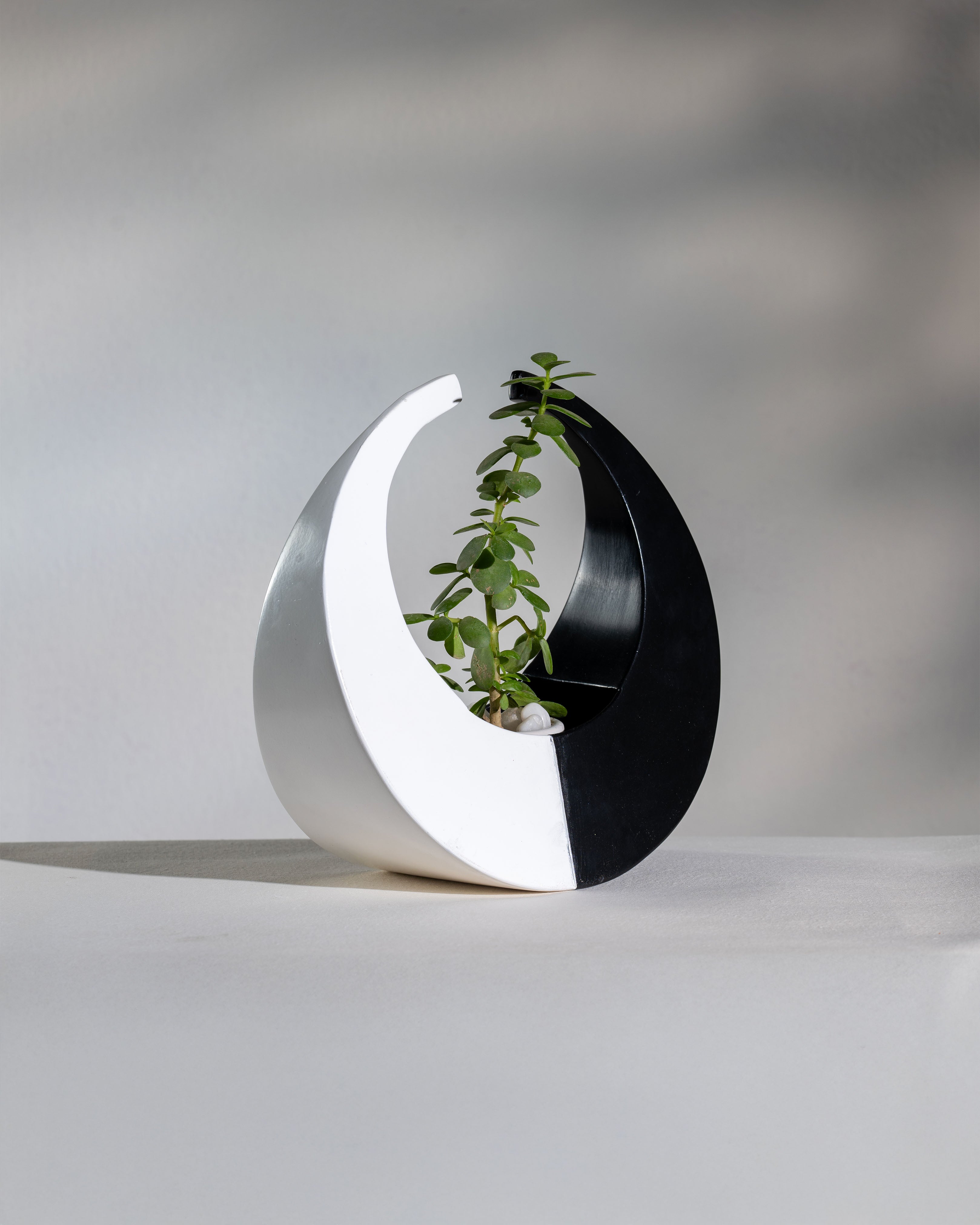 HOPE (PLANTER)