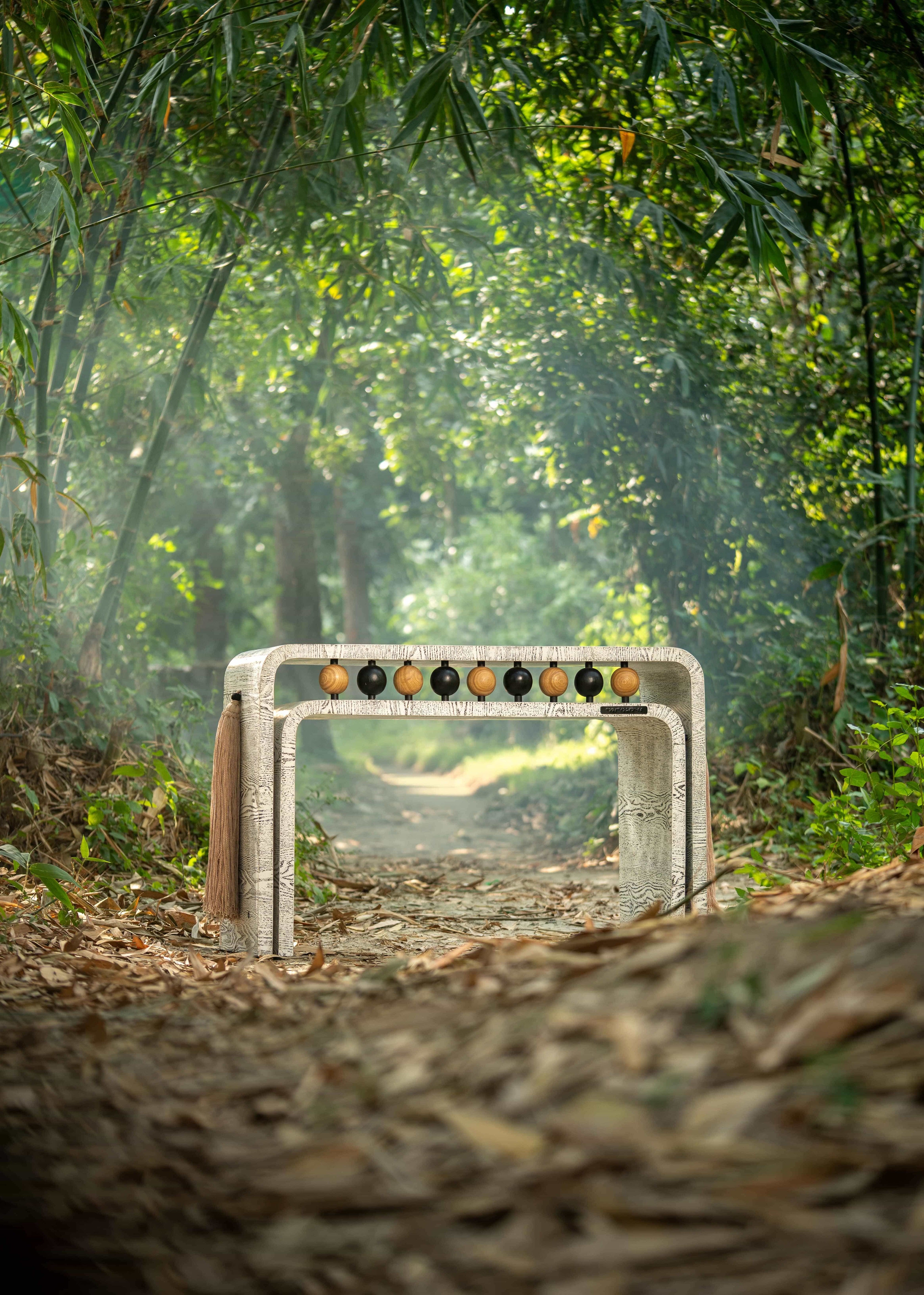 CONSCIOUSNESS (CONSOLE)